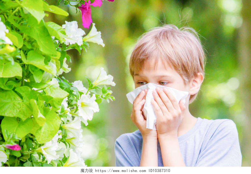 小男孩花粉过敏过敏症。小男孩他的鼻子附近树上盛开.